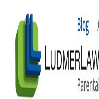 Brian Ludmer lawyer